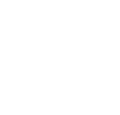 special icon